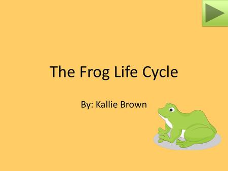 The Frog Life Cycle By: Kallie Brown. Content Area: Science Grade Level: 1 st Summary: The purpose of this PowerPoint is to help students understand and.