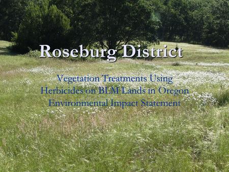 Roseburg District. Noxious Weeds There are 33 noxious weeds documented on District There are 33 noxious weeds documented on District Total acres infested.