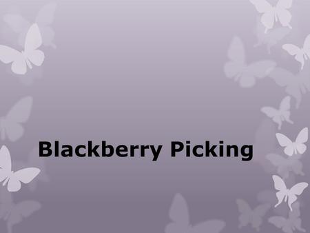 Blackberry Picking.