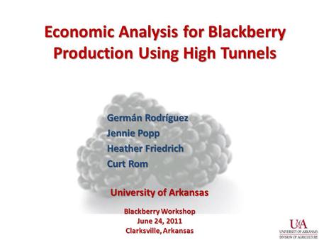 Economic Analysis for Blackberry Production Using High Tunnels Germán Rodríguez Jennie Popp Heather Friedrich Curt Rom Blackberry Workshop June 24, 2011.