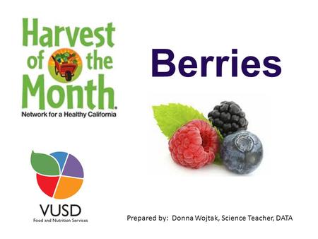Berries Prepared by: Donna Wojtak, Science Teacher, DATA.