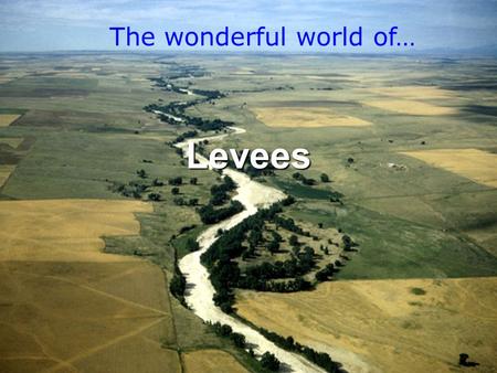 Everything you need to know about them Levees The wonderful world of…
