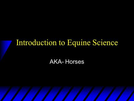 Introduction to Equine Science AKA- Horses. I. Breeds.