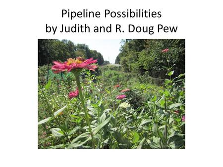 Pipeline Possibilities by Judith and R. Doug Pew.