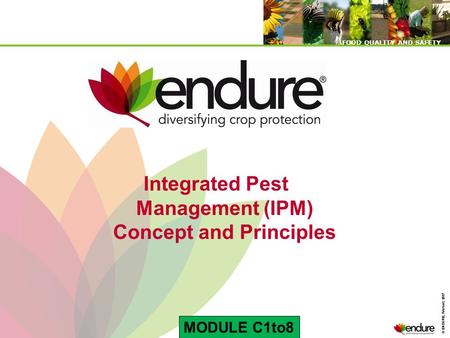 © ENDURE, February 2007 FOOD QUALITY AND SAFETY © ENDURE, February 2007 FOOD QUALITY AND SAFETY Integrated Pest Management (IPM) Concept and Principles.