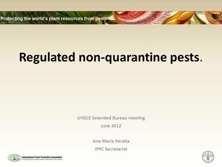 Regulated non-quarantine pests. UNECE Extended Bureau meeting June 2012 Ana Maria Peralta IPPC Secretariat.