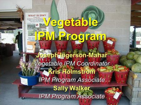Vegetable IPM Program Joseph Ingerson-Mahar Vegetable IPM Coordinator Kris Holmstrom IPM Program Associate Sally Walker IPM Program Associate.