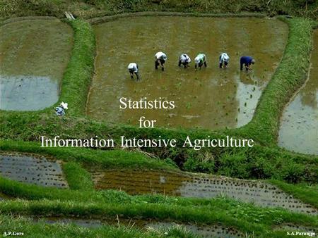 STATSPUNE 1 Statistics for Information Intensive Agriculture S.A.ParanjpeA.P.Gore.
