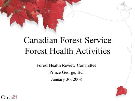 Forest Health Review Committee Prince George, BC January 30, 2008 Canadian Forest Service Forest Health Activities.