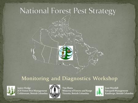 Monitoring and Diagnostics Workshop Tim Ebata Ministry of Forests and Range Victoria, British Columbia Janice Hodge JCH Forest Pest Management Coldstream,