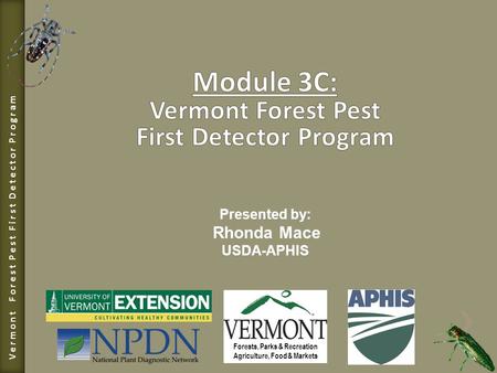 Vermont Forest Pest First Detector Program Forests, Parks & Recreation Agriculture, Food & Markets Presented by: Rhonda Mace USDA-APHIS.