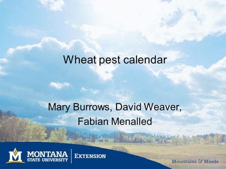 Wheat pest calendar Mary Burrows, David Weaver, Fabian Menalled.