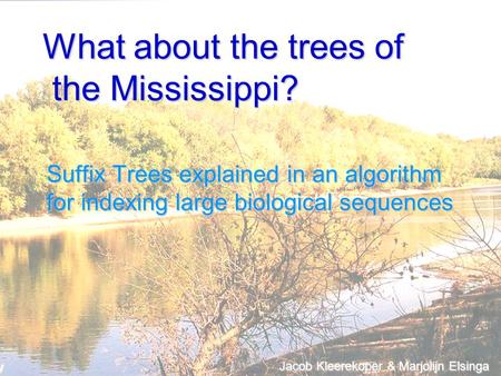 What about the trees of the Mississippi? Suffix Trees explained in an algorithm for indexing large biological sequences Jacob Kleerekoper & Marjolijn Elsinga.