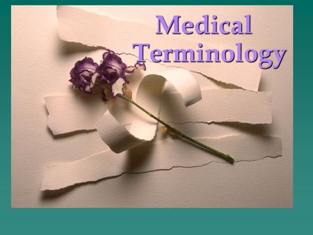 Medical Terminology NURS 1103 or HLSC 2613.