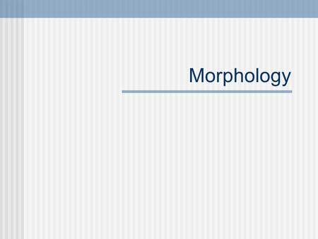 Morphology. Overview We all have an internal mental dictionary called a lexicon Morphology is the study of words (the study of our lexicon) To look at.