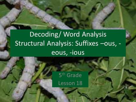 Decoding/ Word Analysis Structural Analysis: Suffixes –ous, -eous, -ious 5th Grade Lesson 18.