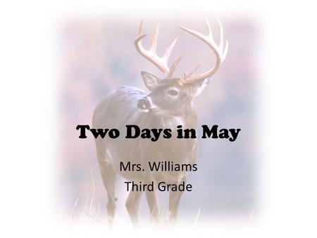 Mrs. Williams Third Grade