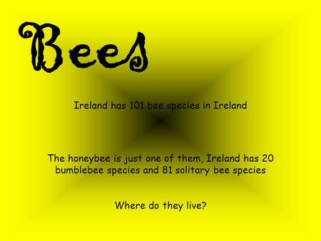 Bees Ireland has 101 bee species in Ireland The honeybee is just one of them, Ireland has 20 bumblebee species and 81 solitary bee species Where do they.