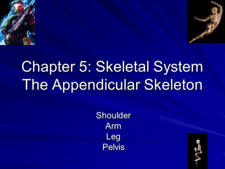 Chapter 5: Skeletal System The Appendicular Skeleton