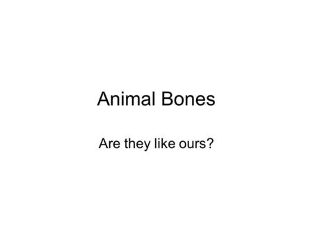 Animal Bones Are they like ours?. Which animal skeleton is this?
