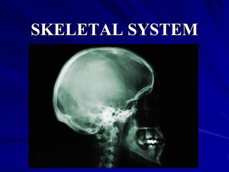 SKELETAL SYSTEM. THE STRUCTURES OF THE SKELETAL SYSTEM INCLUDE: BONES, JOINTS, AND LIGAMENTS.