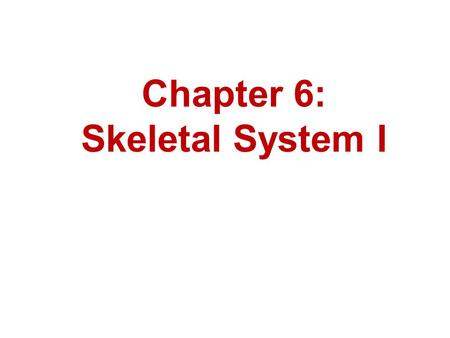 Chapter 6: Skeletal System I. Bernard Siegfried Albinus 1697 – 1770 Famous for his drawings in the work entitled Tables of the Skeleton and Muscles of.