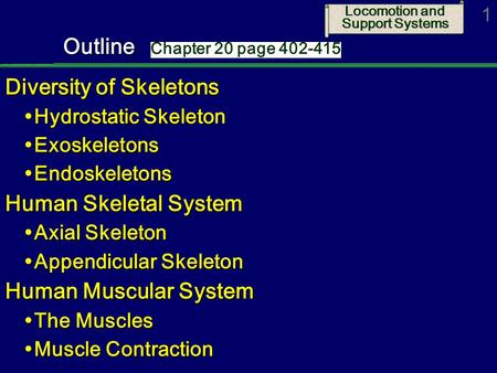 Locomotion and Support Systems 1Outline Diversity of Skeletons  Hydrostatic Skeleton  Exoskeletons  Endoskeletons Human Skeletal System  Axial Skeleton.