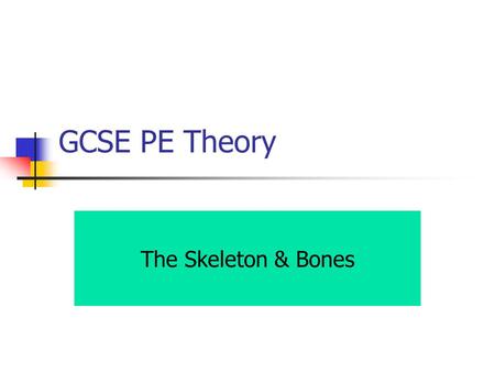 GCSE PE Theory The Skeleton & Bones.
