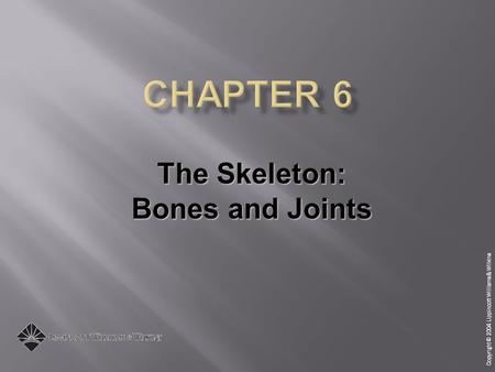 The Skeleton: Bones and Joints