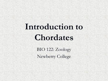 Introduction to Chordates BIO 122: Zoology Newberry College.