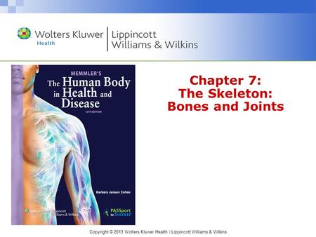 Chapter 7: The Skeleton: Bones and Joints
