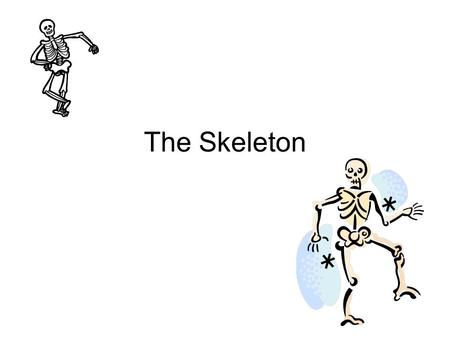The Skeleton. The Head Cranium – Also known as the skull. Protects the brain. Mandible – Jaw bone, holds the teeth in place. Works with the upper mouth.