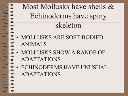 Most Mollusks have shells & Echinoderms have spiny skeleton MOLLUSKS ARE SOFT-BODIED ANIMALS MOLLUSKS SHOW A RANGE OF ADAPTATIONS ECHINODERMS HAVE UNUSUAL.