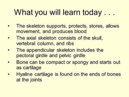 What you will learn today... The skeleton supports, protects, stores, allows movement, and produces blood The axial skeleton consists of the skull, vertebral.