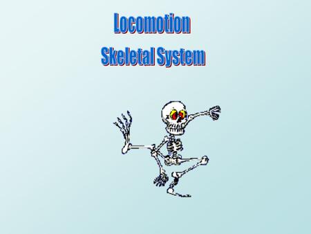 Locomotion Skeletal System.
