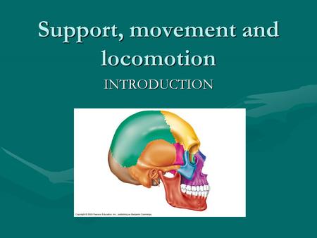Support, movement and locomotion INTRODUCTION. Objectives: List and describe the major functions of the skeletal system.List and describe the major functions.
