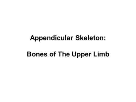 Appendicular Skeleton: Bones of The Upper Limb