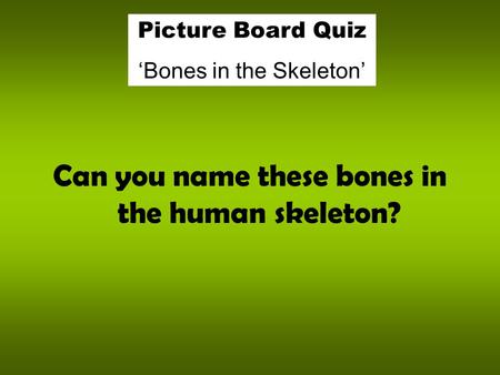 Can you name these bones in the human skeleton?