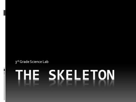 3rd Grade Science Lab The skeleton.