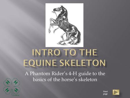 A Phantom Rider’s 4-H guide to the basics of the horse’s skeleton Next page.