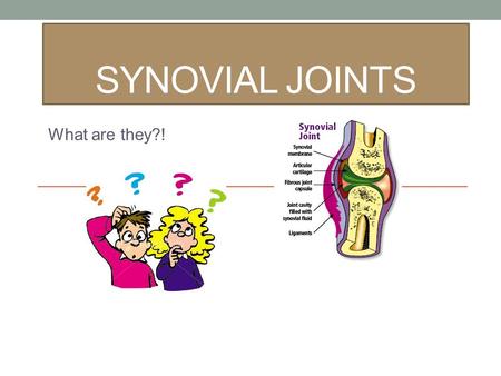 SYNOVIAL JOINTS What are they?!. Skeletal System.