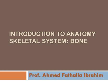 Introduction to anatomy skeletal system: bone