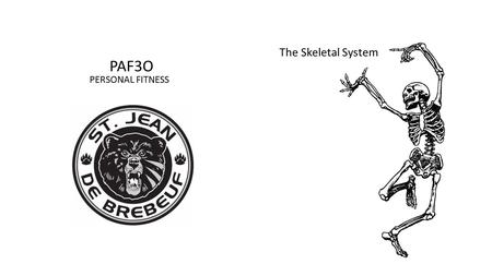 The Skeletal System PAF3O PERSONAL FITNESS.