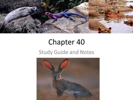 Chapter 40 Study Guide and Notes. 1. & 2. How has natural selection/evolution influenced animal body SIZE and FORM? Physical laws – constrain what natural.