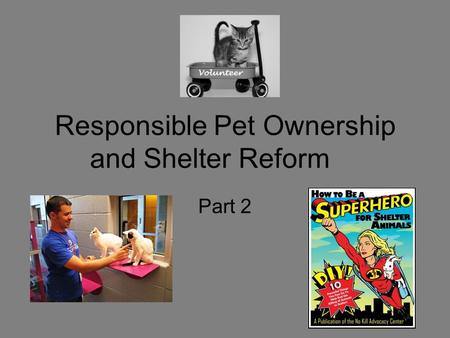 Responsible Pet Ownership and Shelter Reform Part 2.