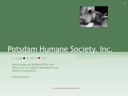 Potsdam Humane Society, Inc. A L A B R OF L V E Announcing our Building Plans and Phase 2 of our Capital Campaign for our Animal Companions February 2009.
