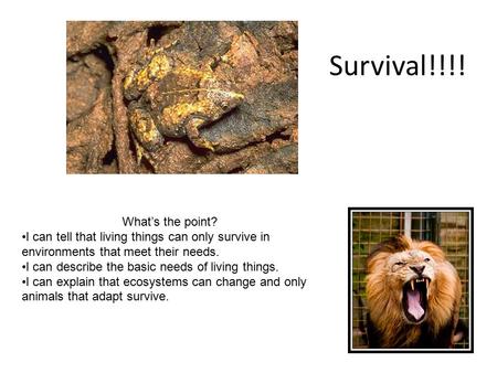 Survival!!!! What’s the point?