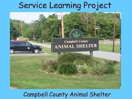 Service Learning Project Campbell County Animal Shelter.
