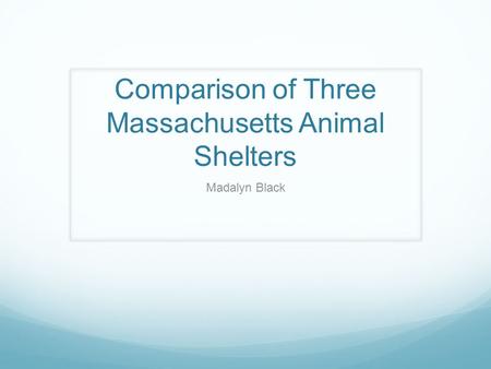 Comparison of Three Massachusetts Animal Shelters Madalyn Black.