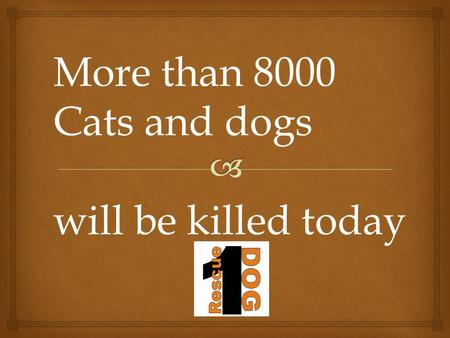 More than 8000 Cats and dogs will be killed today.